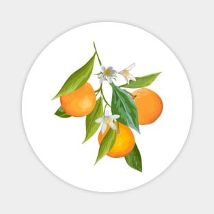 Oranges Magnet